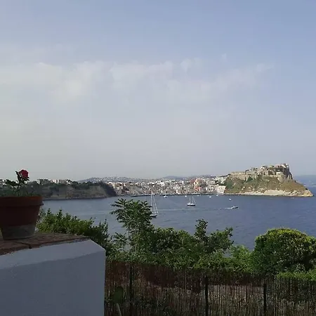 Il Giardino Blu Oltremare - Exclusive Garden * 普罗奇达