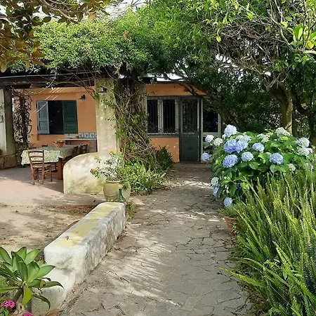 Il Giardino Blu Oltremare - Exclusive Garden