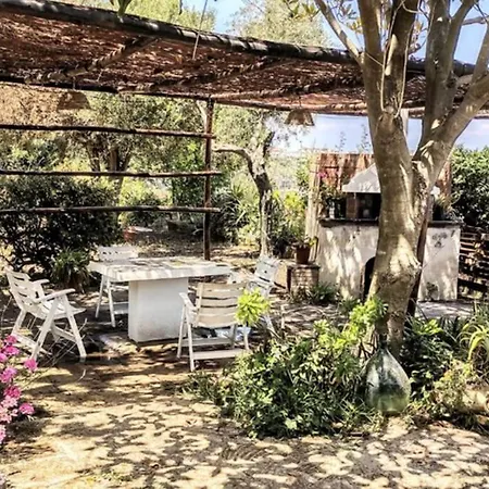 Il Giardino Blu Oltremare - Exclusive Garden