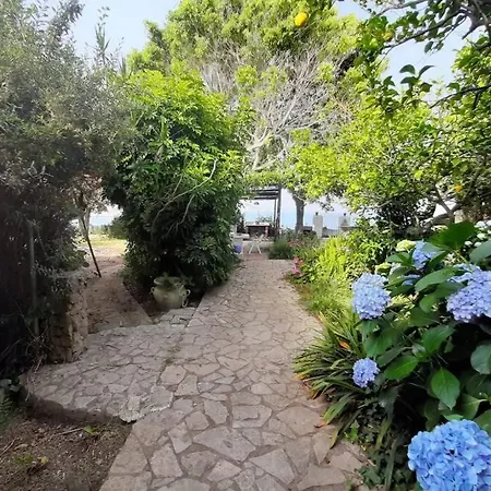 别墅 Il Giardino Blu Oltremare - Exclusive Garden
