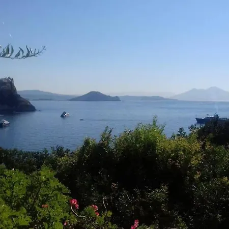 别墅 Il Giardino Blu Oltremare - Exclusive Garden