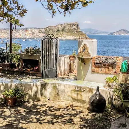 Il Giardino Blu Oltremare - Exclusive Garden