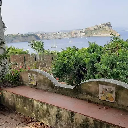 Il Giardino Blu Oltremare - Exclusive Garden *