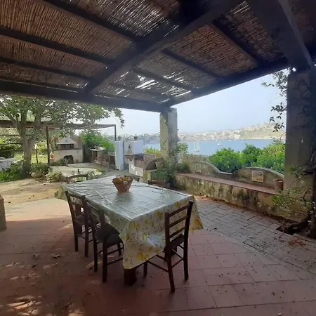 Il Giardino Blu Oltremare - Exclusive Garden *