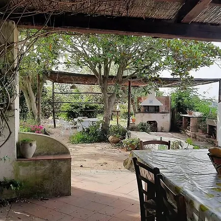 Il Giardino Blu Oltremare - Exclusive Garden פרוסידה