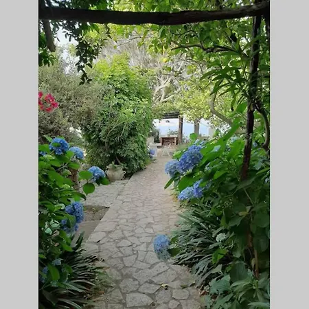 Il Giardino Blu Oltremare - Exclusive Garden פרוסידה