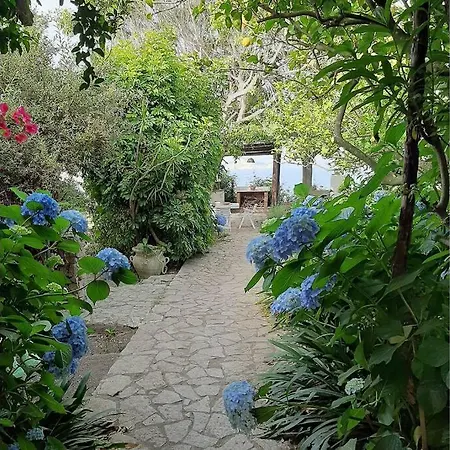 Il Giardino Blu Oltremare - Exclusive Garden