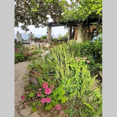 Il Giardino Blu Oltremare - Exclusive Garden