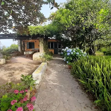Il Giardino Blu Oltremare - Exclusive Garden וילה פרוסידה