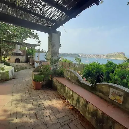 Il Giardino Blu Oltremare - Exclusive Garden *